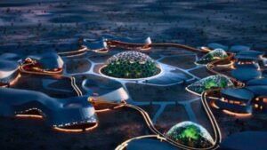 Elon Musk Hotel