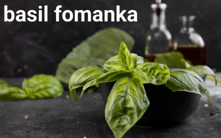 Basil Fomanka