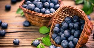 Blueberry Superfood Unveiled