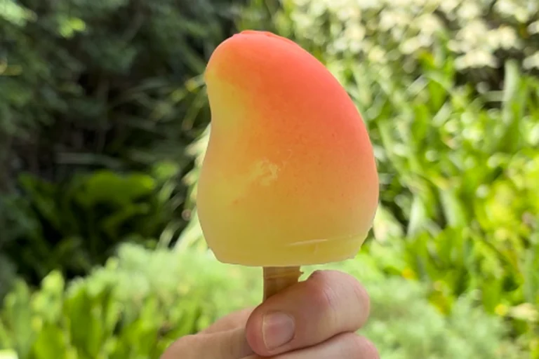 Propitious Mango Ice Cream